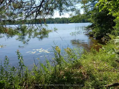15 Fire Route 92a Kasshabog Lake, Havelock-belmont-methuen, On K0l 2h0