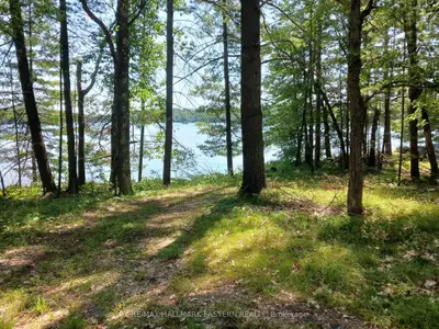 15 Fire Route 92a Kasshabog Lake, Havelock-belmont-methuen, On K0l 2h0