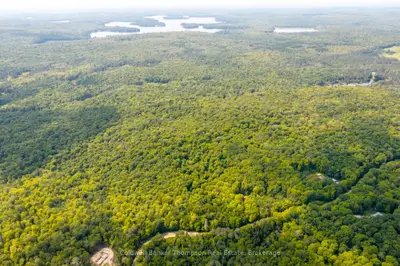 Lot 1 South Horn Lake Road, Armour, On P0a 1c0