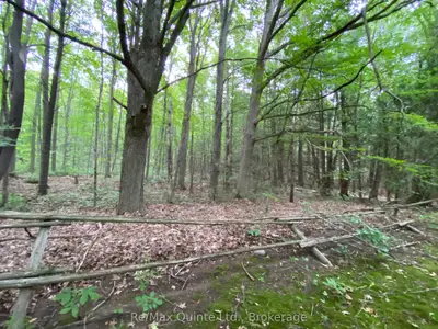 0 County Rd 30, Brighton, On K0k 1h0