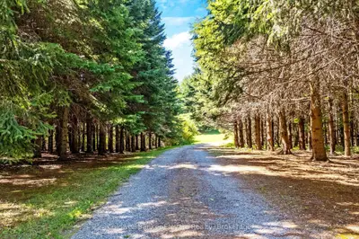5126 Ninth Line, Erin, On N0b 1t0