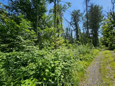 0 Shanval Lane, Marmora And Lake, On K0k 2m0