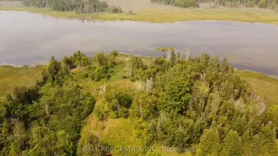 892 County Rd 40, Douro-dummer, On K0l 2v0