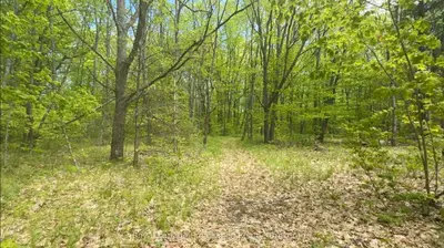 207 Middle Ridge Road, Brighton, On K0k 1h0