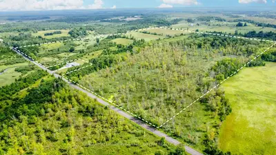 Lot 5 Concession 5, Kawartha Lakes, On K0m 2b0