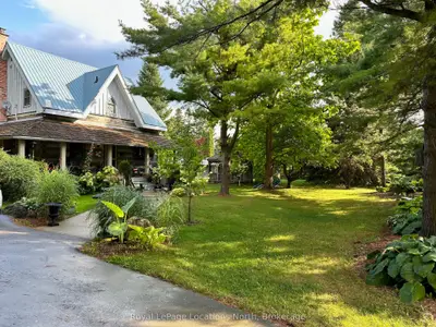 Detached in Blue Mountains