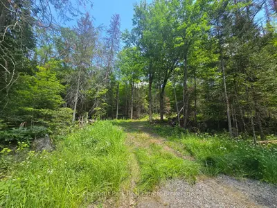1630 Midlothian Road, Ryerson, On P0a 1c0