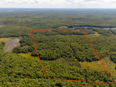 L13c6br Huntsville, Huntsville, On P1h 2j3
