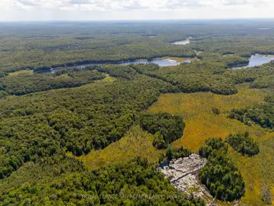 L13c6br Huntsville, Huntsville, On P1h 2j3