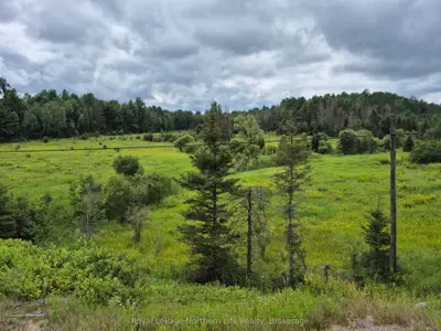 3518 Highway 17, Papineau-cameron, On P0h 1v0