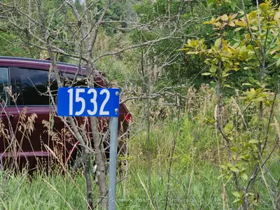 Vacant Land in Madoc