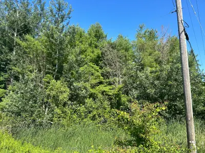0 Concession Rd 4 W, Trent Hills, On K0k 3k0