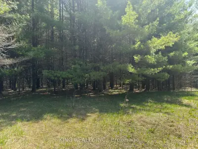6081 Hwy 89, Clifford Road, Minto, On N0g 1m0