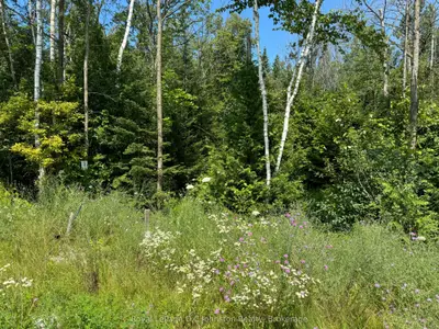 13 Lakeside Woods Crescent, Saugeen Shores, On N0h 2c6
