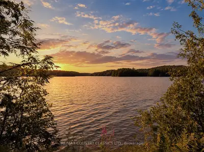 27241 Highway 28, Highlands East, On, K0l 1m0