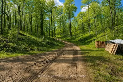 1091 Crystal Lake Road, Trent Lakes, On K0m 2a0