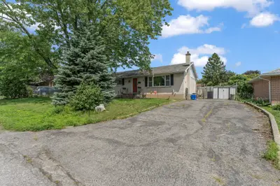 Detached in Loyalist