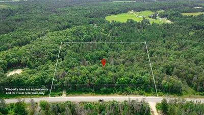 167 North Pickerel Lake Road, Armour, On P0a 1c0