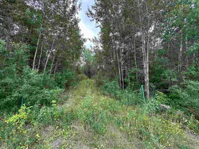 905 Frog Creek Road, Alberton, On P9a 3m2