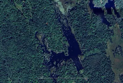 Part Lot 25 Concession 1, Bracebridge, On P1l 1x1