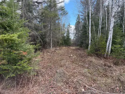 Lot 9 Part 1 Johnson Road, East Ferris, On P0h 1k0