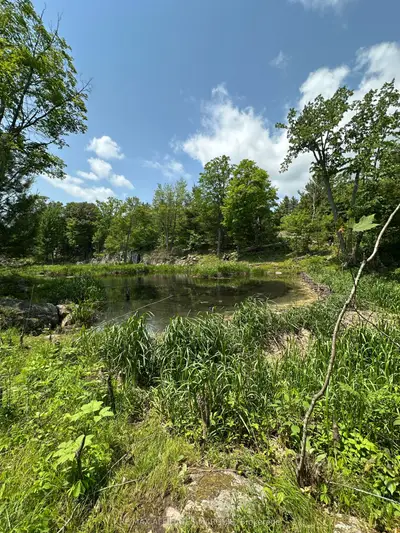 938 Crow Lake Road, Frontenac, On K0h 2b0