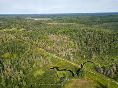 Lt 4 Dutch Line Road W, Trent Lakes, On K0m 2a0