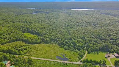 0 Buckslide Road, Algonquin Highlands, On K0m 1s0
