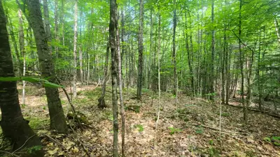 00 Canaan Road, Mcnab/braeside, On K7v 3z4
