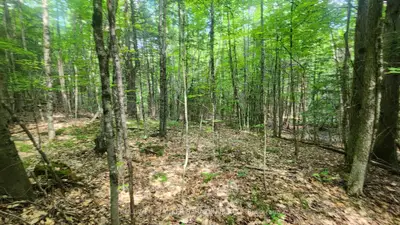 00 Canaan Road, Mcnab/braeside, On K7v 3z4