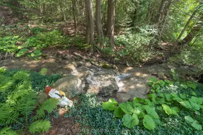 30725 Hockley Road, Mono, On L9w 2y8