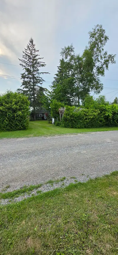 73 Loon Street, Kawartha Lakes, On L0b 1k0
