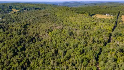 688 Prince Road E, Madawaska Valley, On K0j 2n0