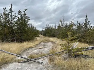 2916 Shannon Road, Tyendinaga, On K0k 3a0