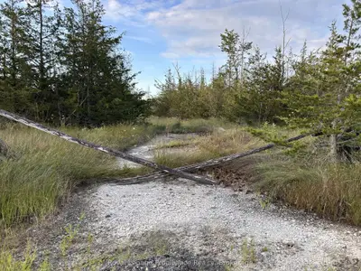 2916 Shannon Road, Tyendinaga, On K0k 3a0