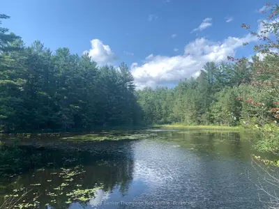 Lt17&18 Con8 & Lt18 Con 9 Carlsmount Road, Bracebridge, On P1l 1x1
