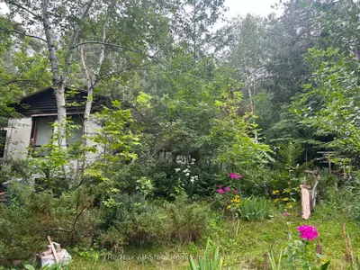 Detached in Kawartha Lakes
