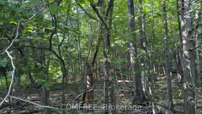 4853 Opeongo Road, Constance Bay - Dunrobin - Kilmaurs - Woodlawn, On K0a 3m0