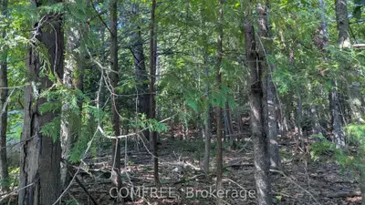 4853 Opeongo Road, Constance Bay - Dunrobin - Kilmaurs - Woodlawn, On K0a 3m0