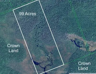 Lot 12 Con 2 Trail, Bracebridge, On, P1l 1x3