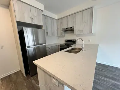 20 Cleveland Common, Cambridge, On N1t 0h4