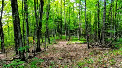 0 North Rusaw Road, North Kawartha, On K0l 1a0