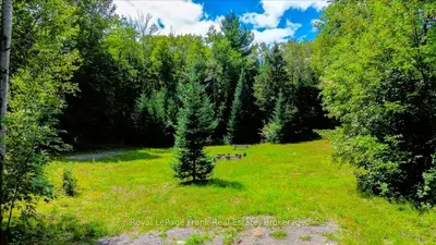 0 North Rusaw Road, North Kawartha, On K0l 1a0