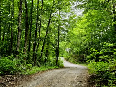 0 North Rusaw Road, North Kawartha, On K0l 1a0
