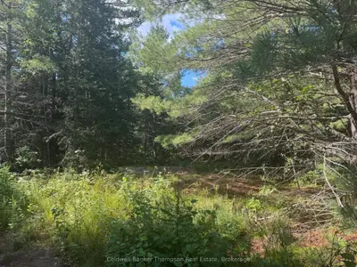 Vacant Land in Magnetawan