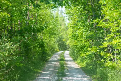 137 39th Side Road, Blue Mountains, On N0h 2p0