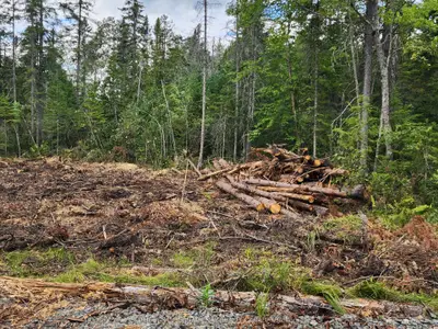 1022 Thompson Road, Bracebridge, On P1l 1x1
