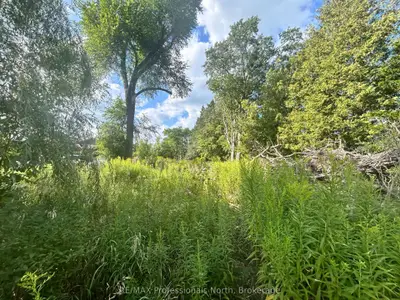 4437 Highway 7, Kawartha Lakes, On K0l 2w0