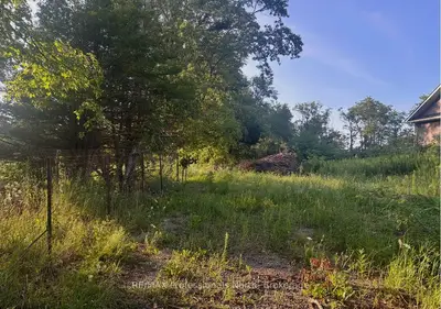 4437 Highway 7, Kawartha Lakes, On K0l 2w0