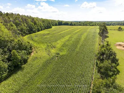 449686 10th Concession Road, Grey Highlands, On N0c 1m0
